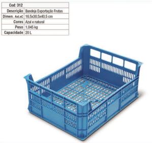 bandeja exportacao frutas.jpg