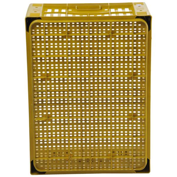 caixa plastica hfg amarela plastico