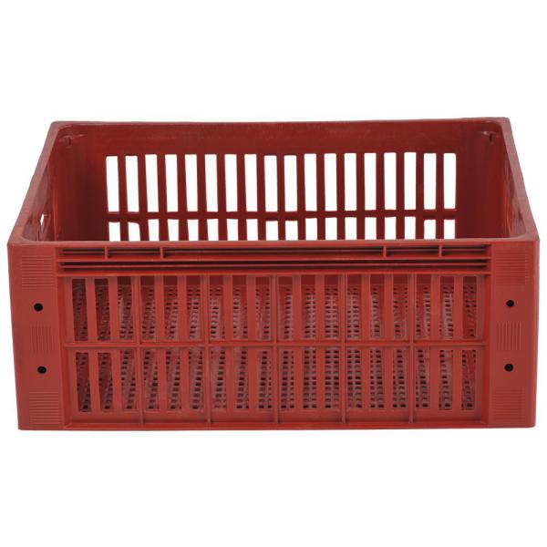 caixas plasticas hfg plastico